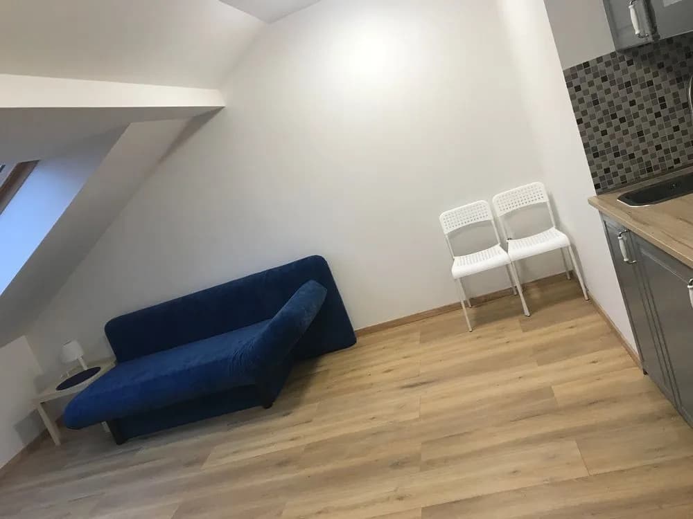 Blahnikova Apartments - photo 17