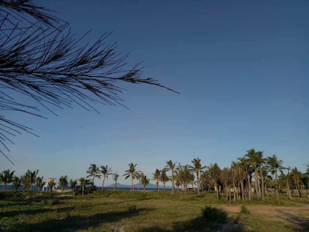 Hoi An Coco Bungalows - photo 17
