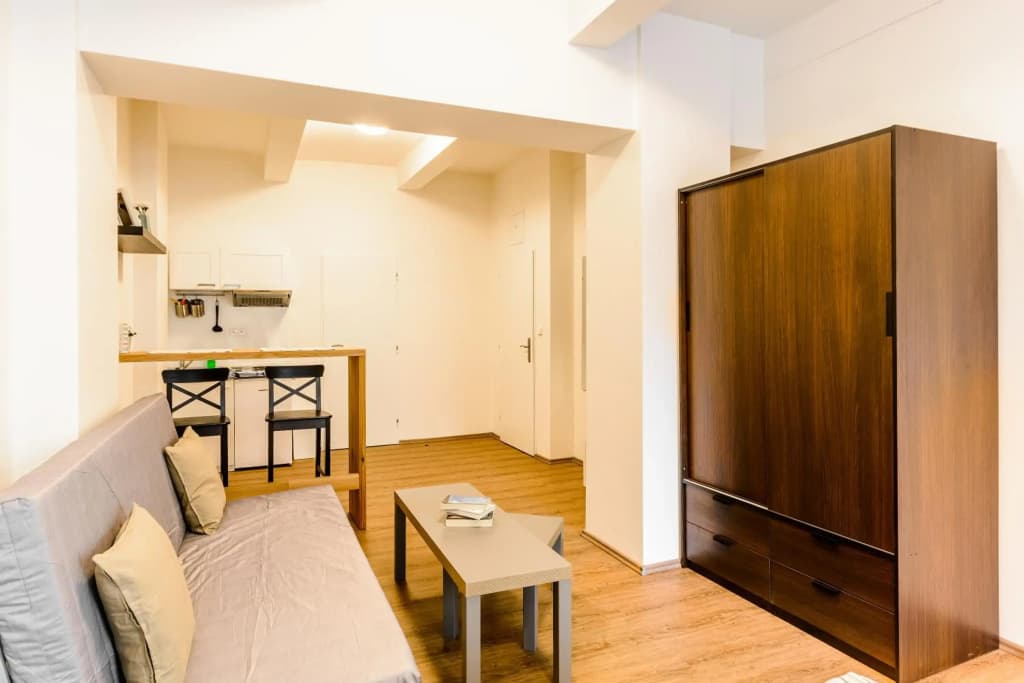 Zizkov Cosy Studio Apartments - photo 26