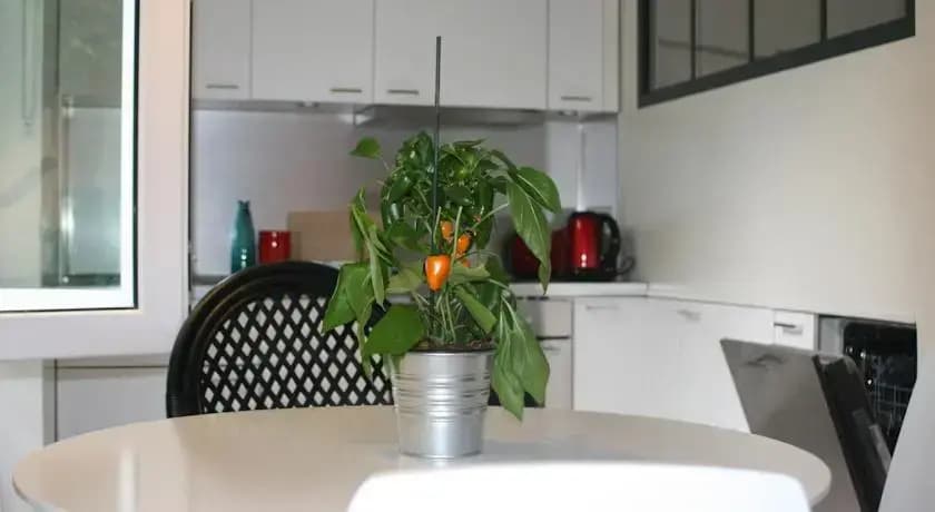 My Nest Inn Paris Quartier Latin - photo 16