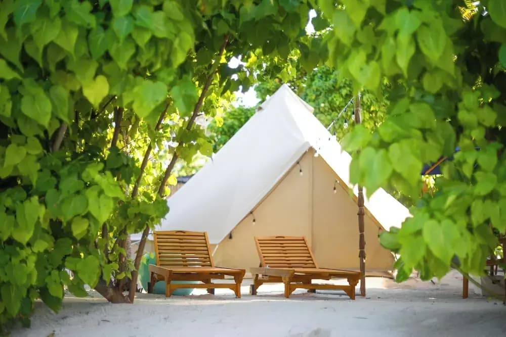 The Maverick Surf and Dive Boutique Hotel - photo 2