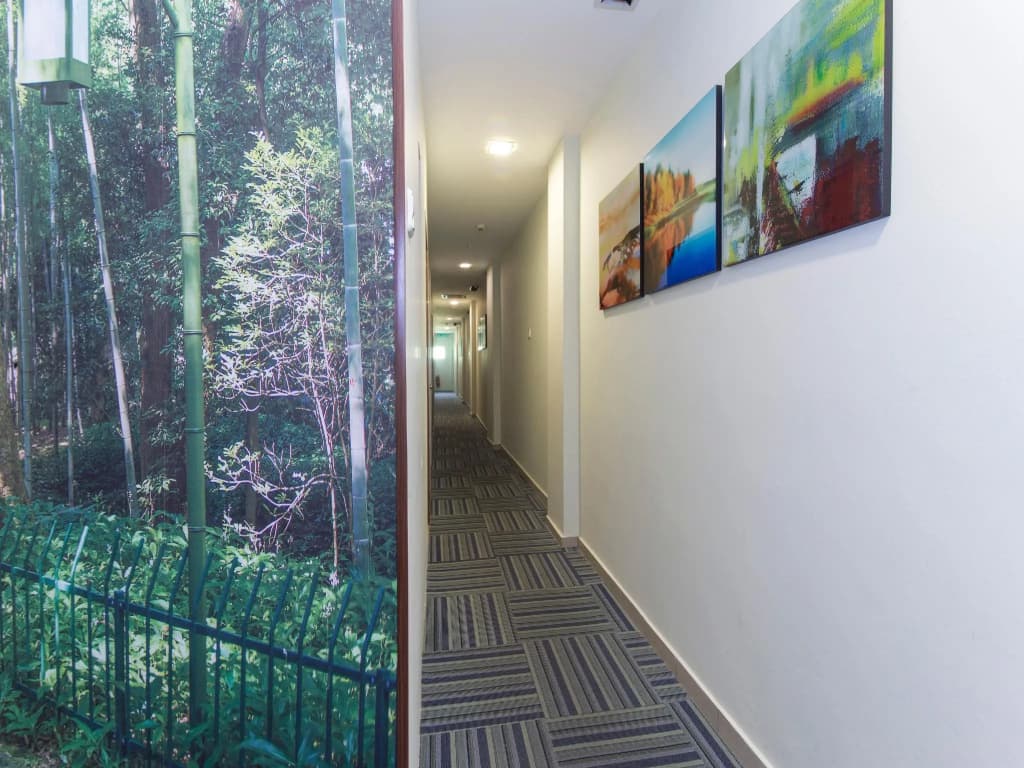 Rain Forest Hotel - photo 11