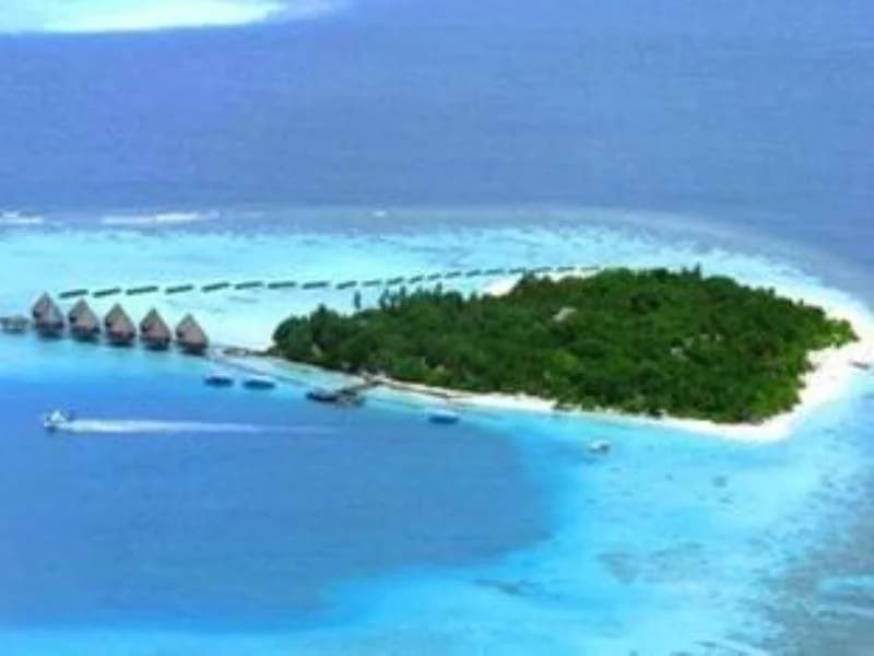 Velidhu Island Resort - photo 15