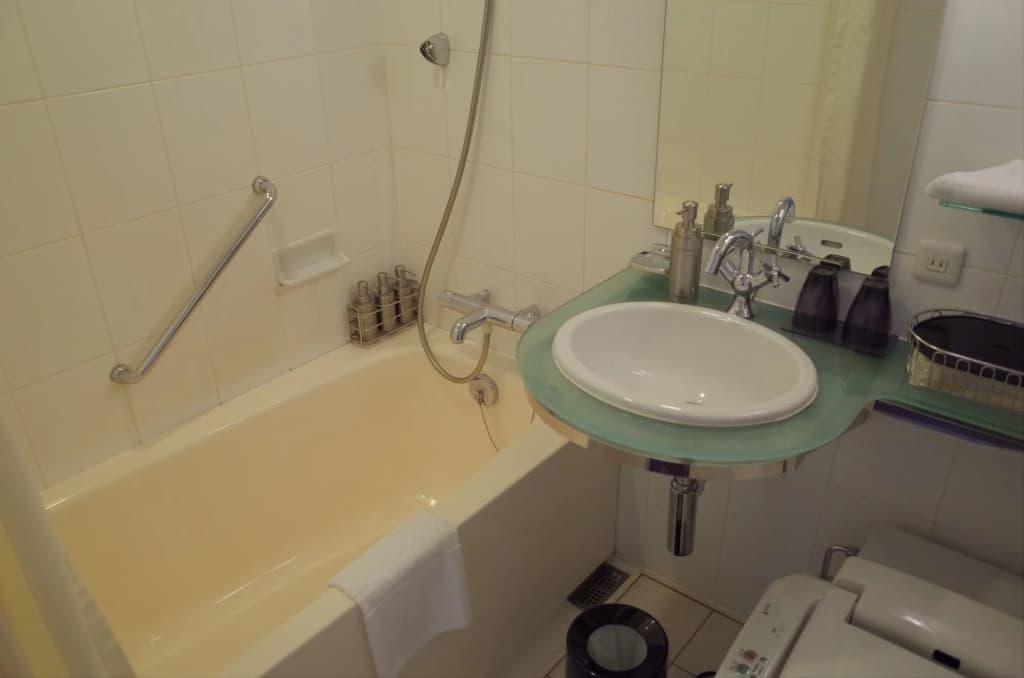 Trusty Tokyo Bayside Hotel - photo 9