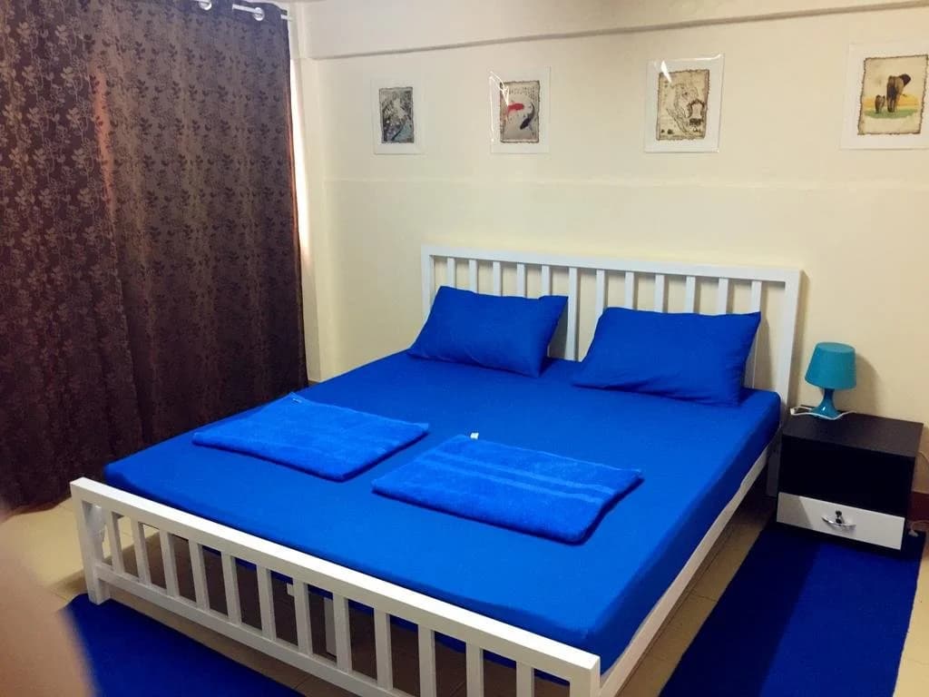 Small Elephant Hostel - photo 2