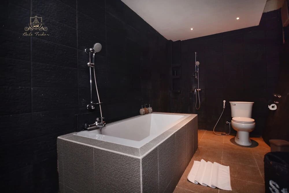 Bale Tudor Villa - photo 7