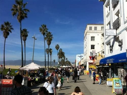 Venice Beach Suites Hotel - photo 22