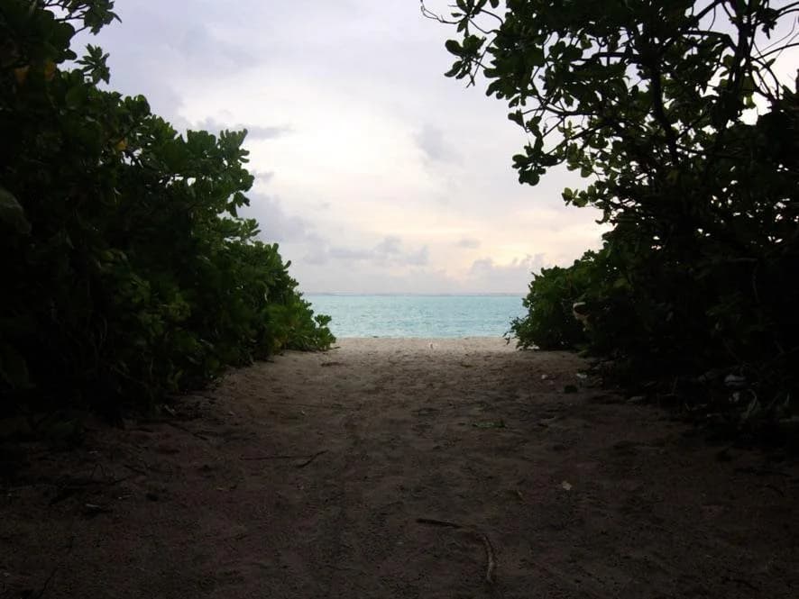 Serene Sky Guest House - photo 15