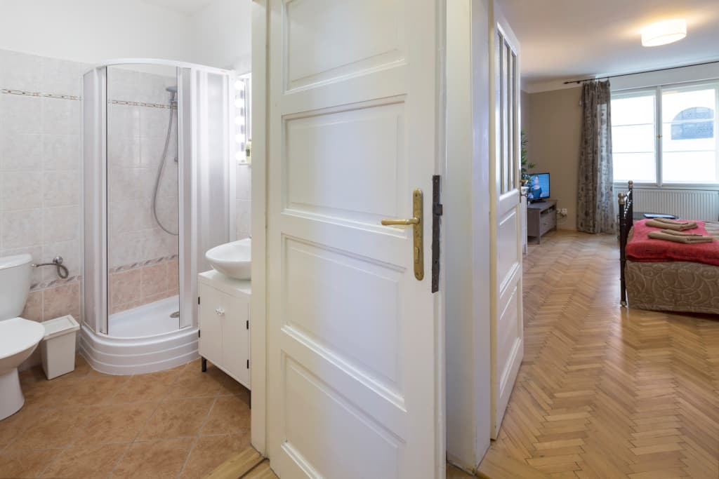 Templova Apartments - photo 10