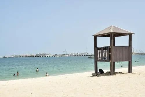 Frank Porter - Sadaf 1 - photo 13