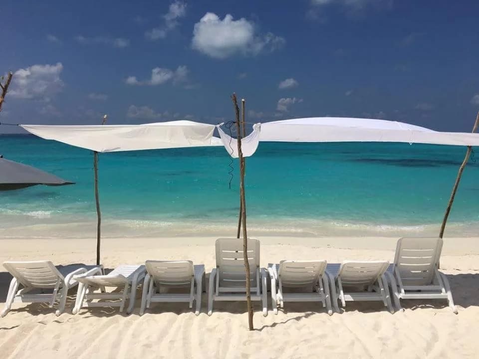 Vashafaru Inn - photo 2