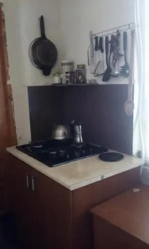 Zalos bona - photo 2