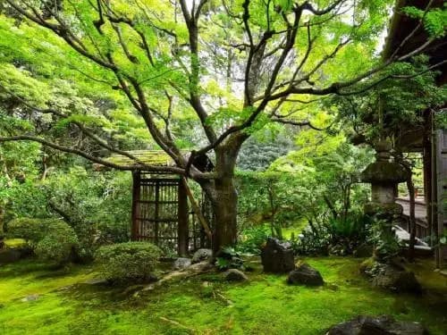 Machiya Kushige - photo 2