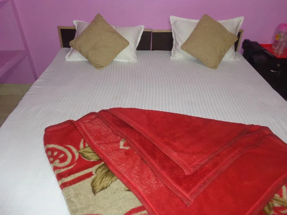 A.K Rajput Guesthouse - photo 4