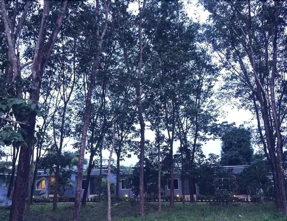 Saiyuan Garden Resort - photo 14