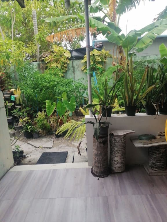 The Rose Garden House - photo 21