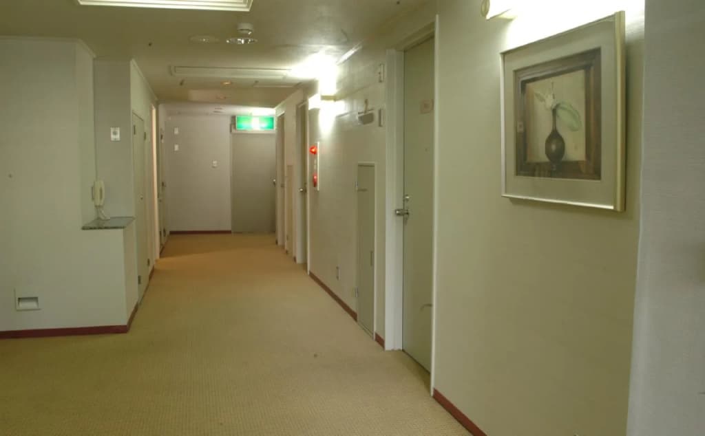 Hotel Shirakawago - photo 11