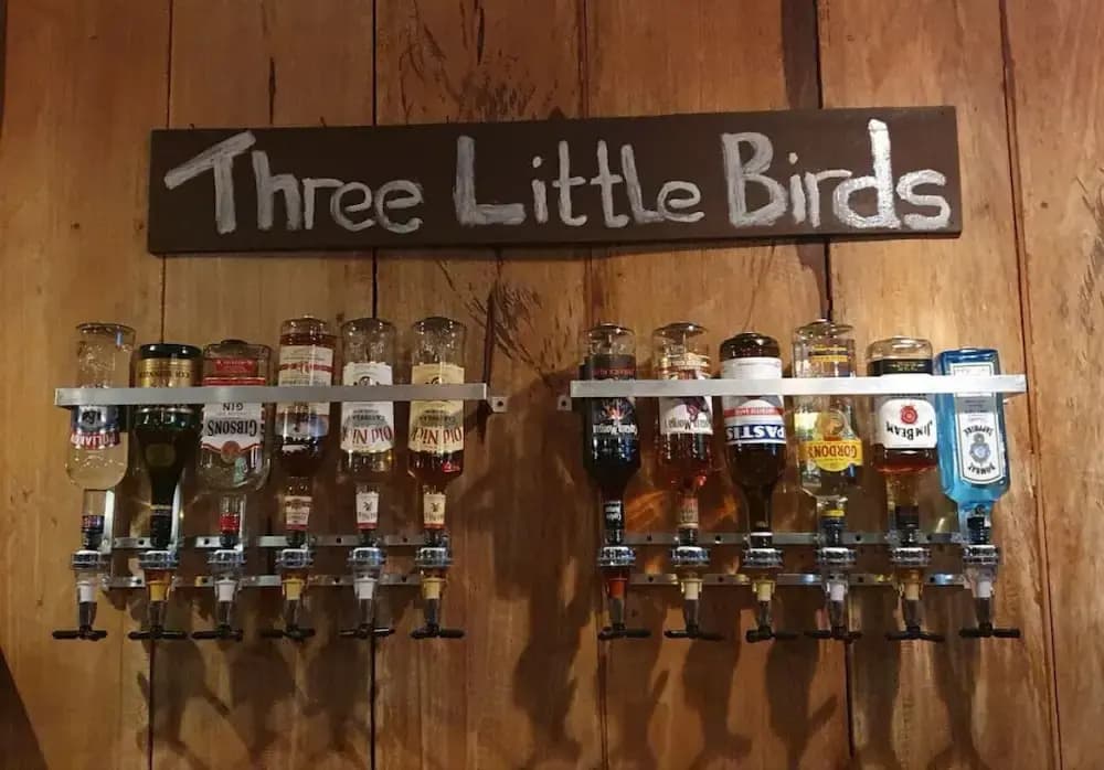 Three Little Birds - photo 21