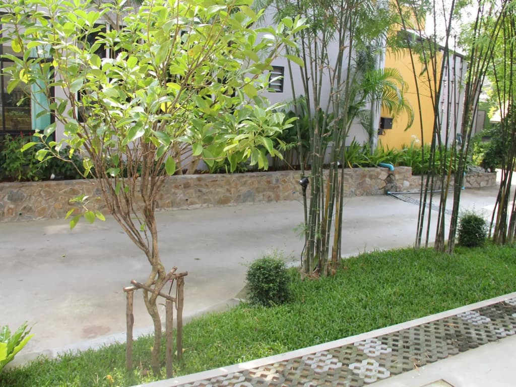 Paradise Resort - photo 14