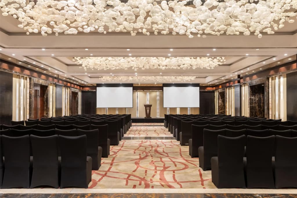 Radisson Blu Plaza Delhi Airport - photo 16