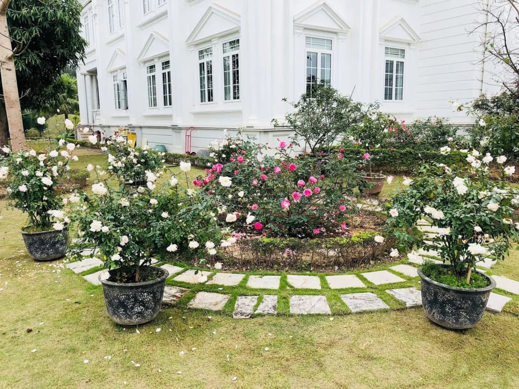 Anh Duong Hotel and Spa - photo 1