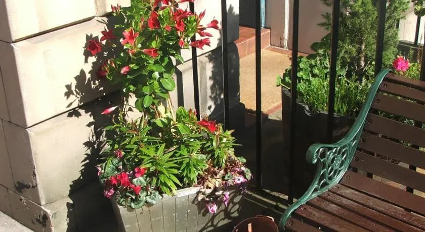 Eyre Guest House - photo 9