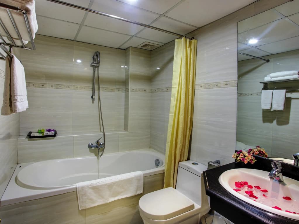 Parklane Hanoi Hotel - photo 7