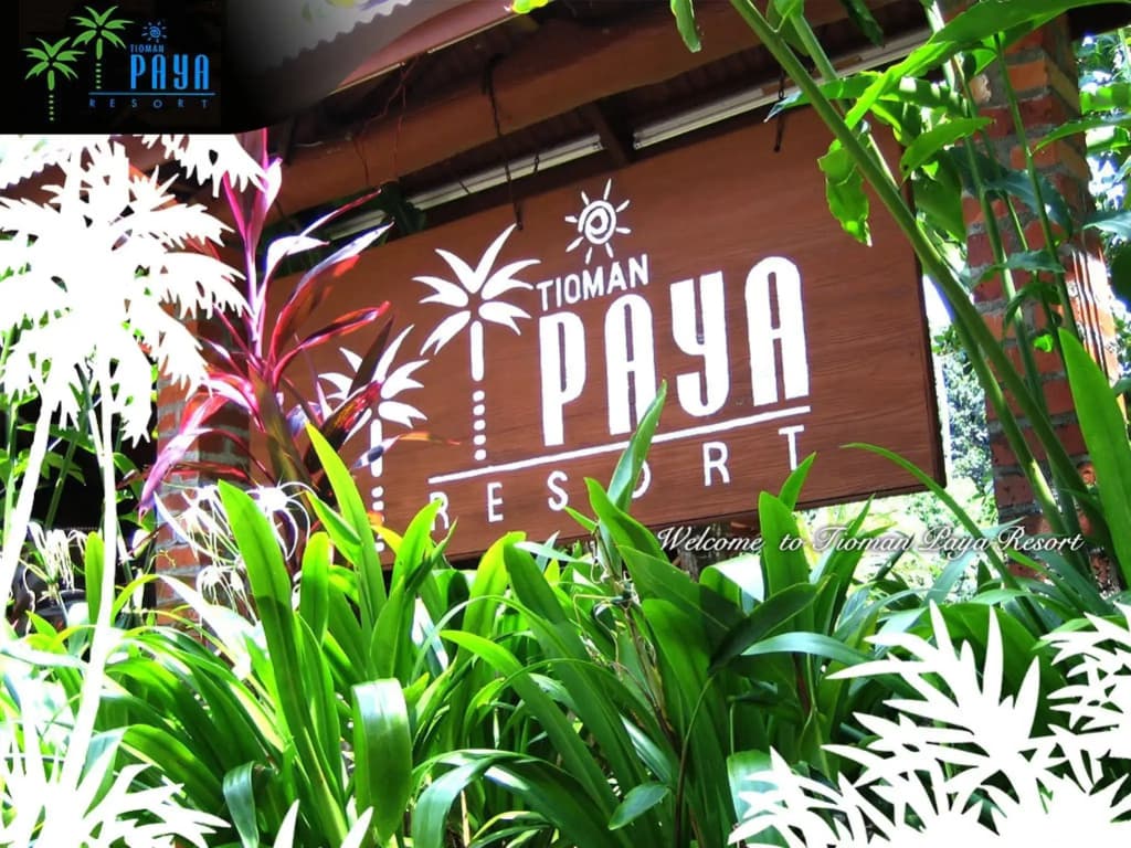 Tioman Paya Resort - photo 3
