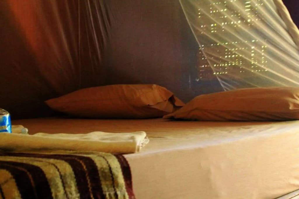 Lucky Resort - photo 2