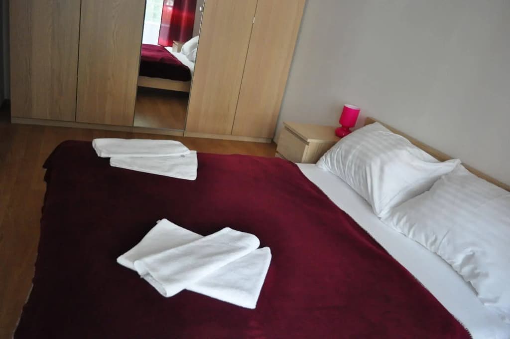 Bright spacious apartment - photo 1