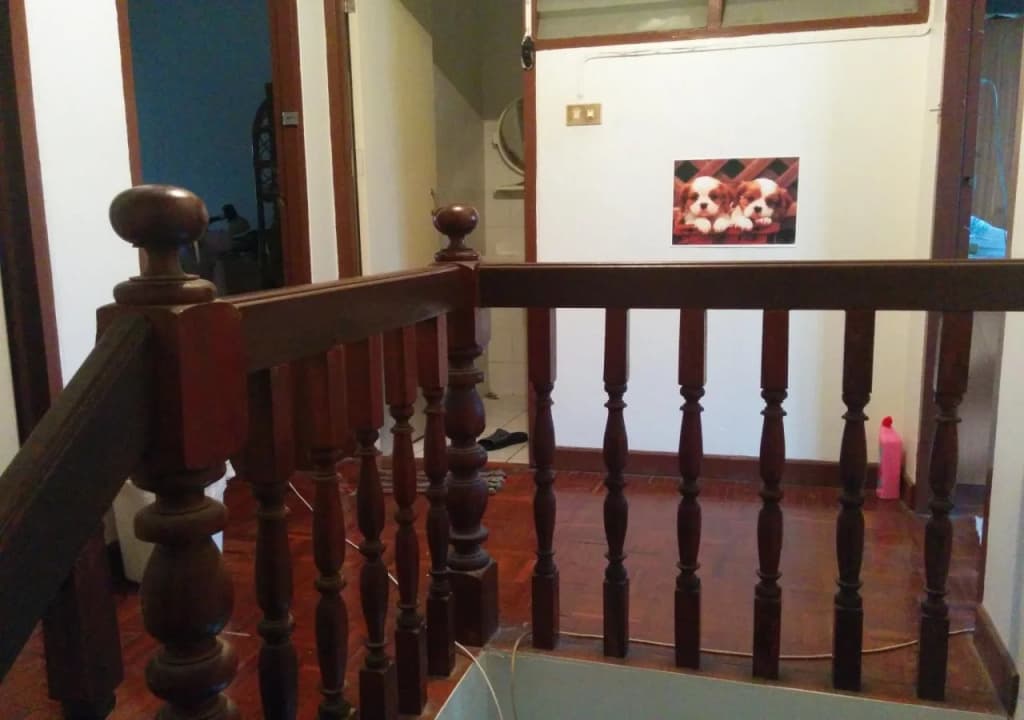 Big Mango Tree Guesthouse - photo 8