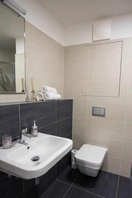 Prague Comfort Apartment - photo 10
