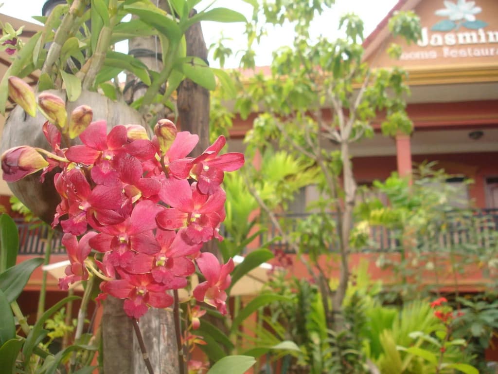 Jasmine Family Hostel - photo 13