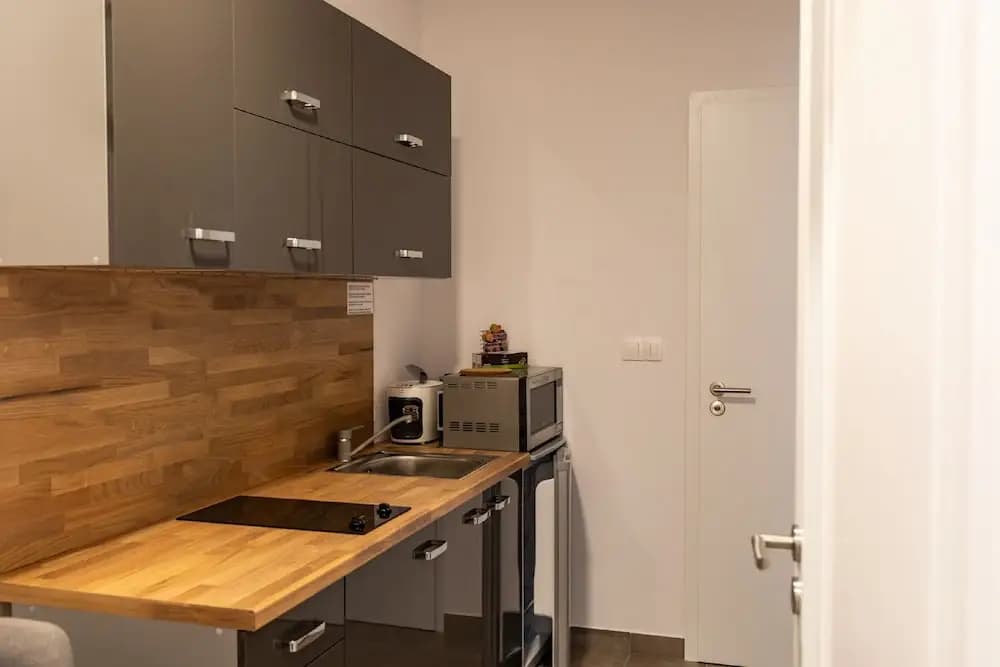 Residence Hadovitá - photo 13