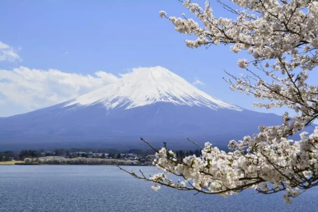 Laffitte Tokyo WEST - photo 10
