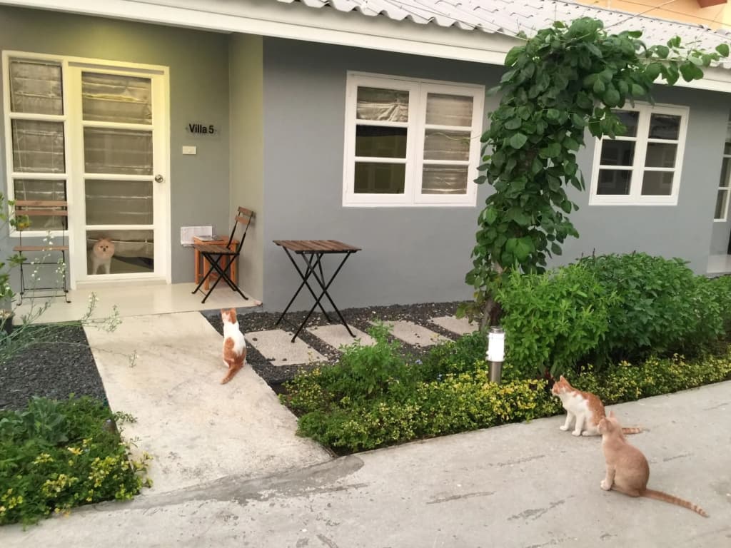 1715 House - White Rhino - photo 21