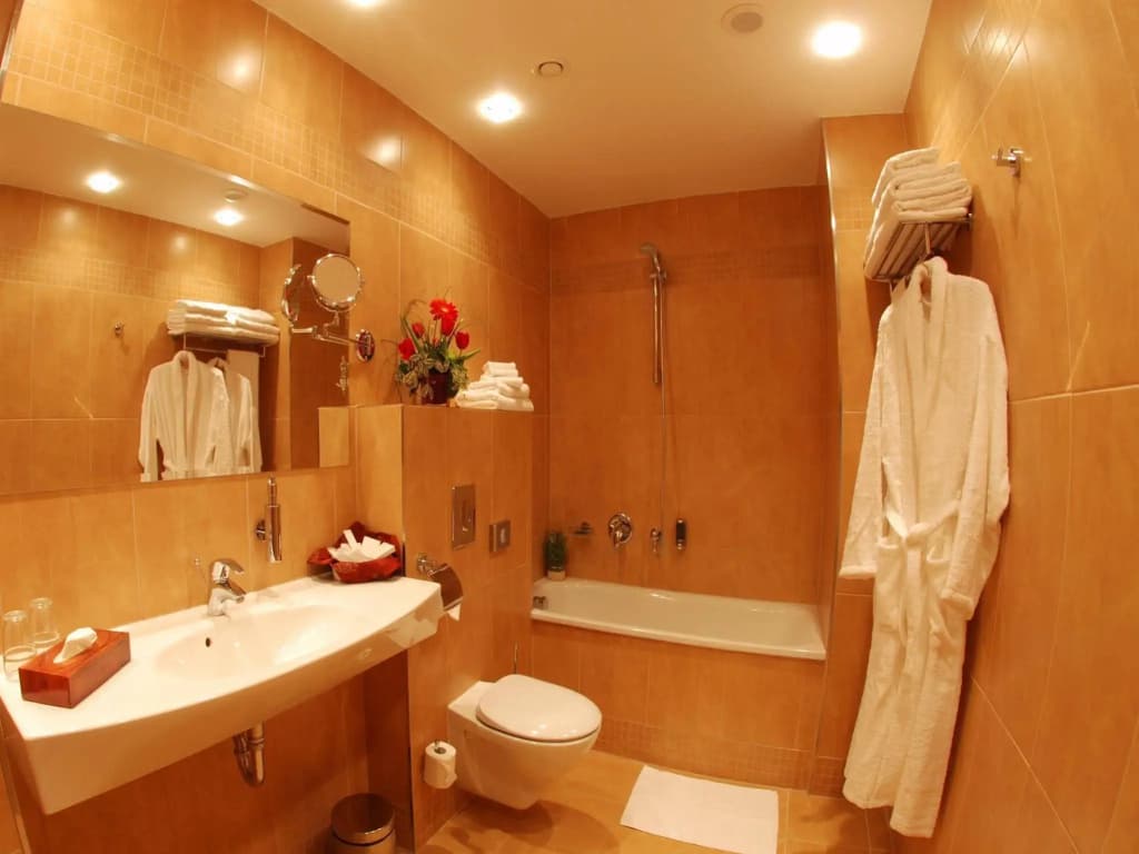 EA Hotel Sonata - photo 9