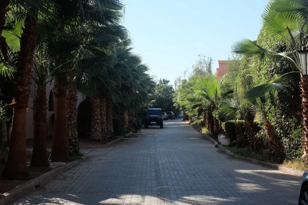 Eden Palm Resident Palmuraie Marrakech - photo 8