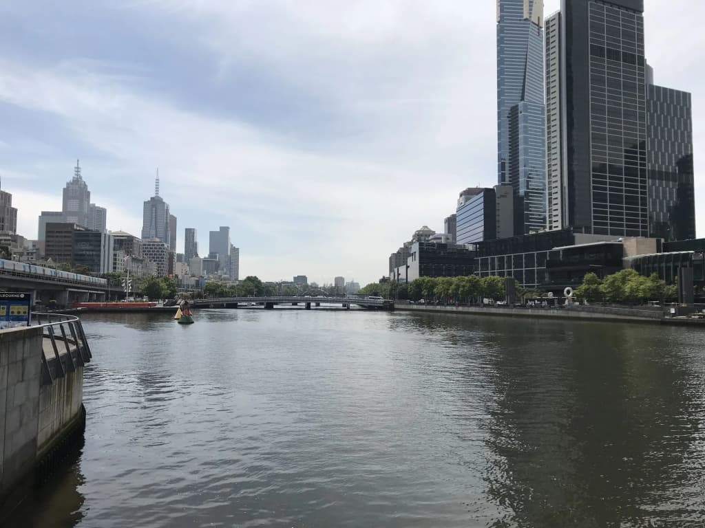 All on Flinders - photo 10