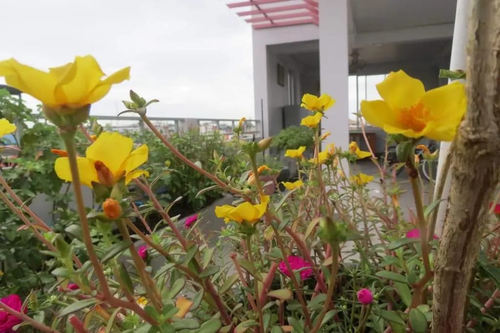 2N Residence - photo 8