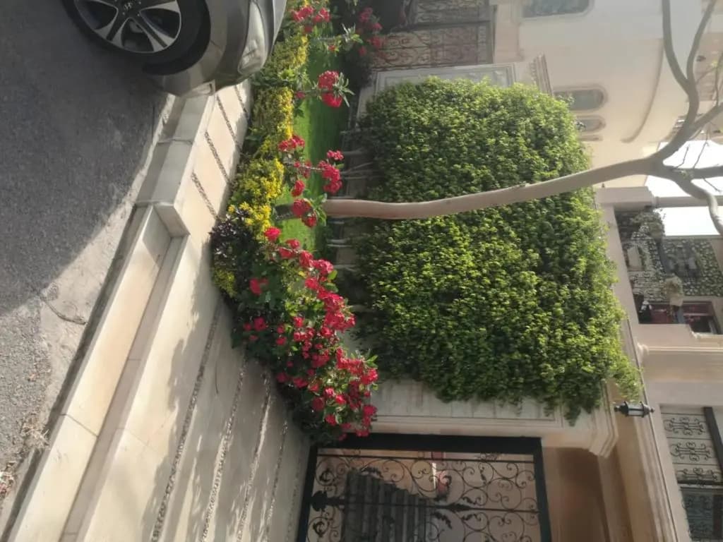 New Cairo Villa - main photo