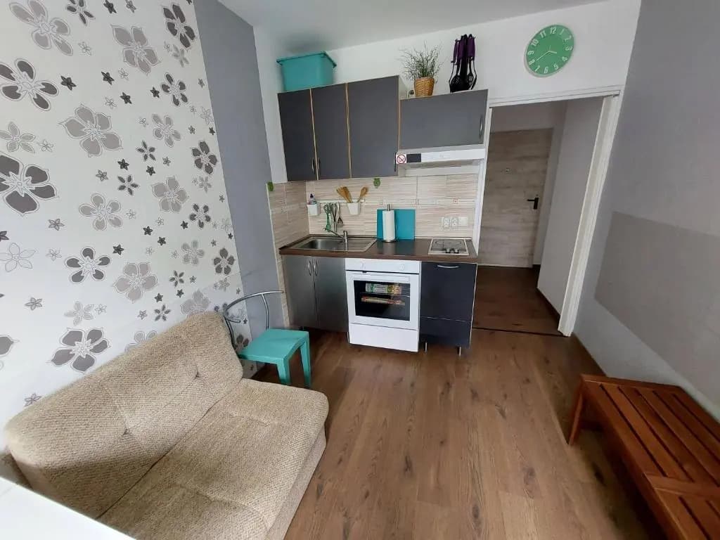 Apartment Fancy - photo 16