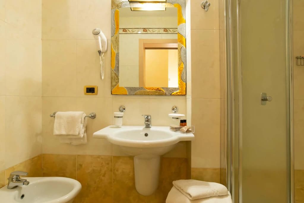 Hotel Alba Palace - photo 8