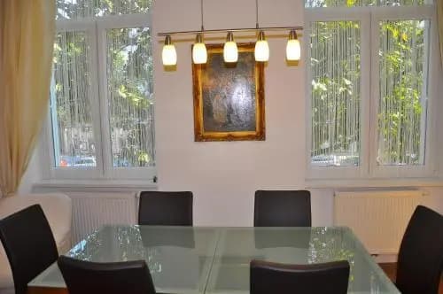 Bluedanube Apartments - photo 8