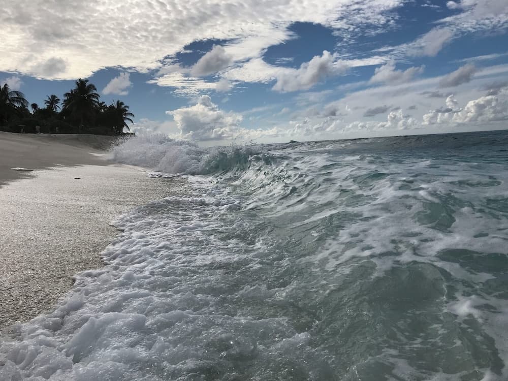 Suffix Retreat - Stay, Dive & Explore Fuvahmulah - photo 27