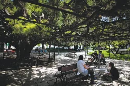 Lisbon Lovers (Adults Only) - photo 7