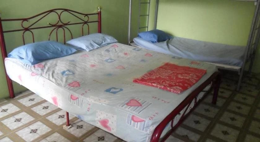 Greenleaf Guesthouse - photo 2
