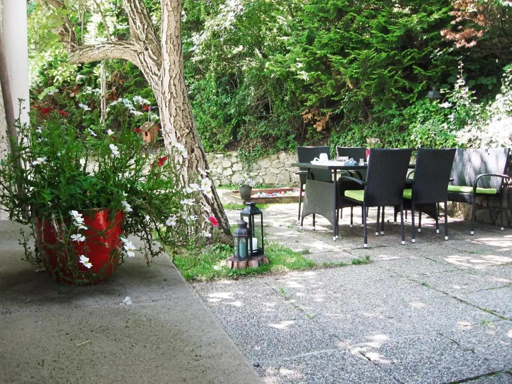 Danube view house with garden - photo 12