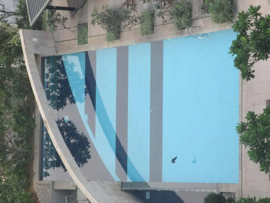 Monarch Apartments - photo 11