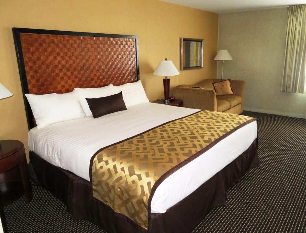 Skyline Hotel - photo 3